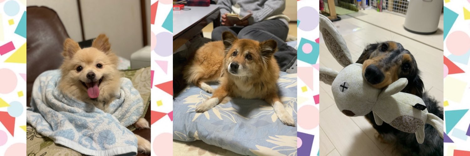 naoki_vec's profile banner image