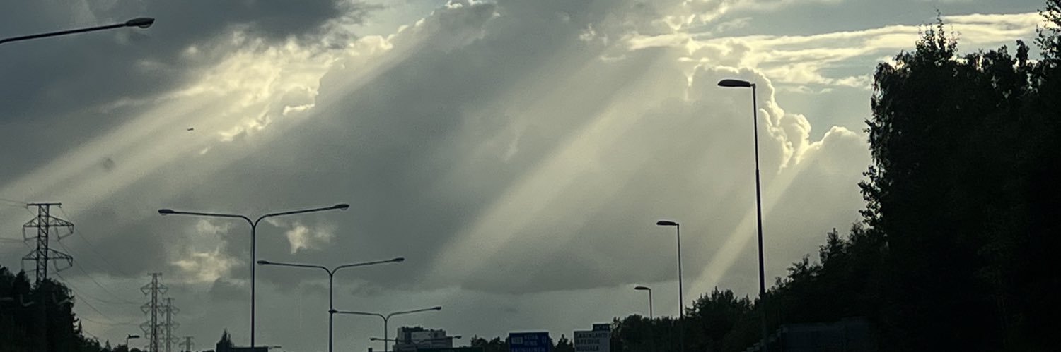 GulledSimba's profile banner image