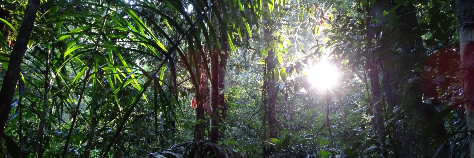 Iona Cunningham-Eurich banner