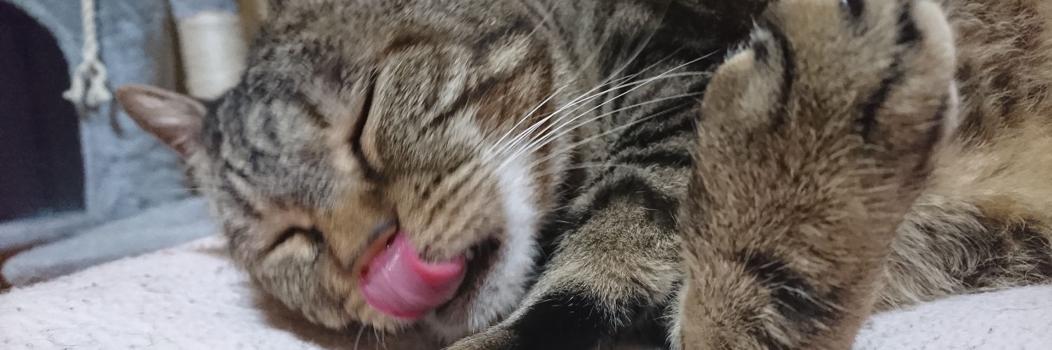 坂田銀時🐈 banner