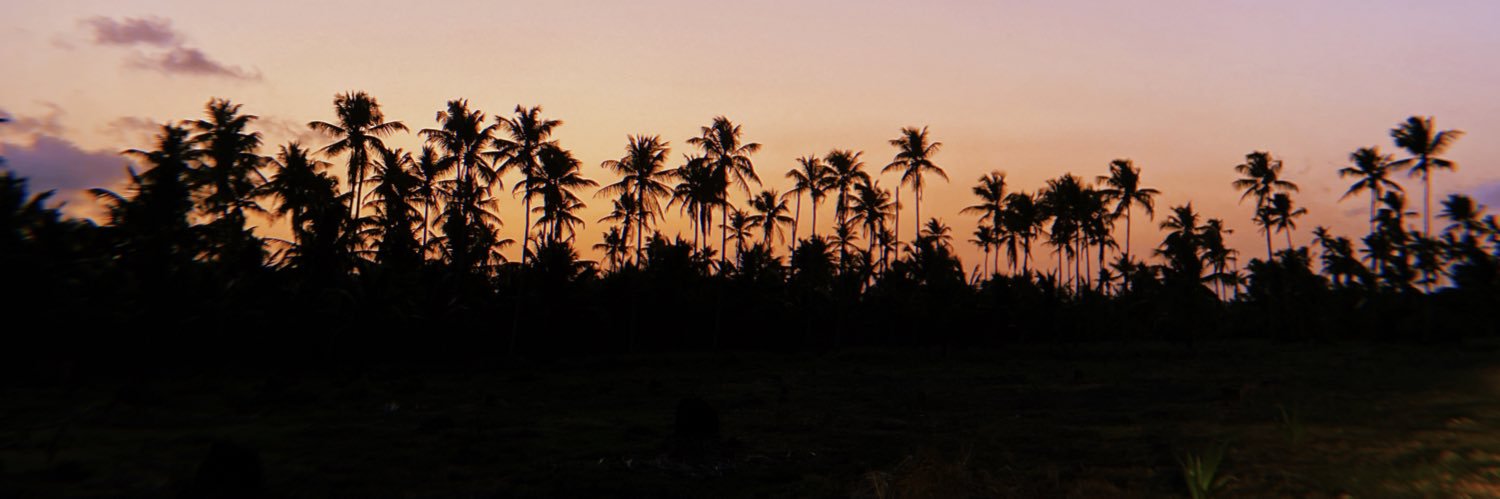 NataliaQML's profile banner image