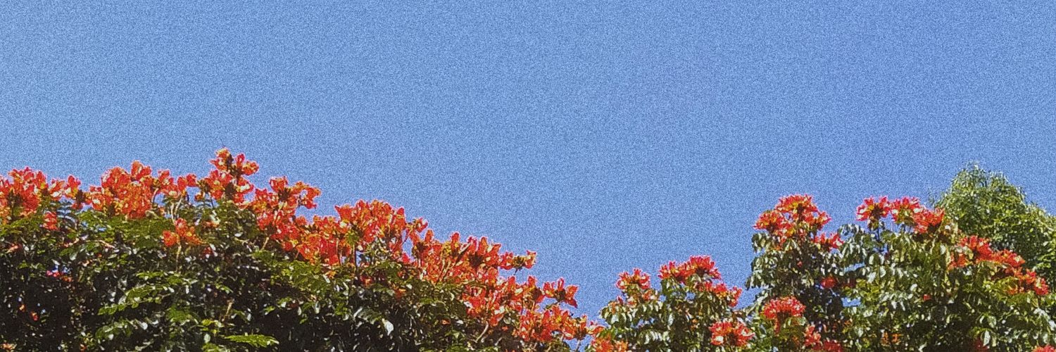 EmilioPacheco97's profile banner image