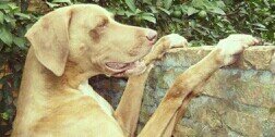 AguileraFalcon's profile banner image