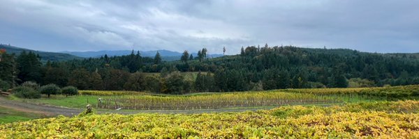 Lisa_OMeara_ Profile Banner