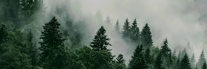 summ3rd4wn's profile banner image