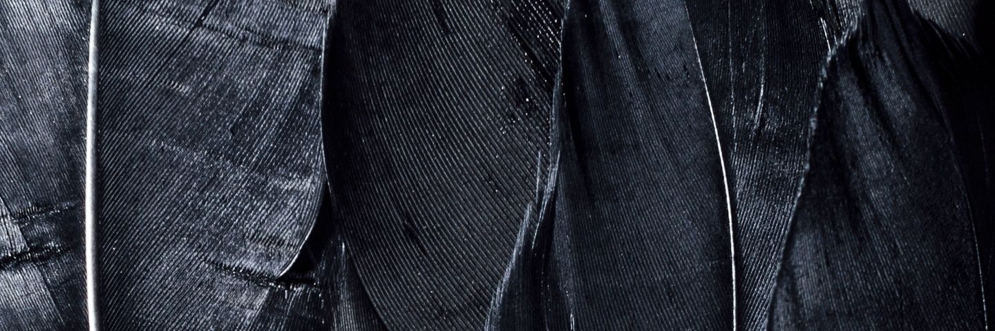 rulixdd's profile banner image