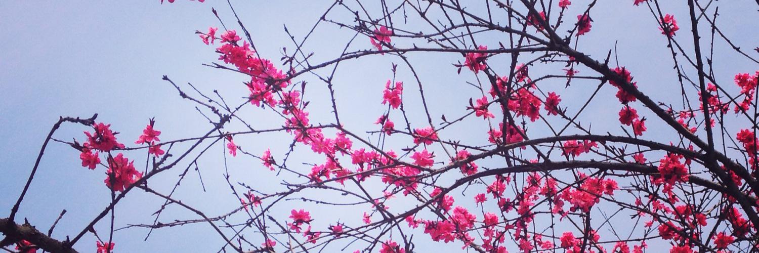 Cat Harvey-Jenner banner