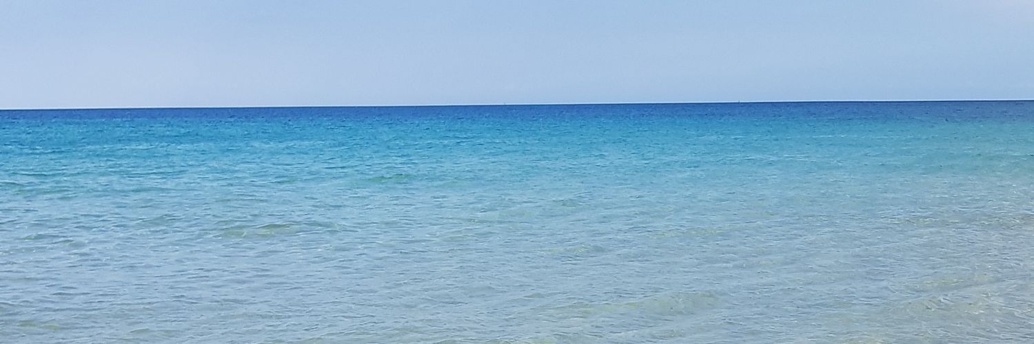 sannymozzy's profile banner image