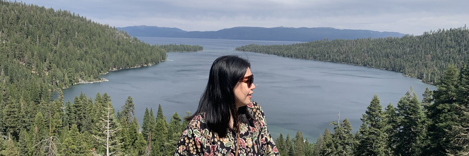 yoshiRoxy's profile banner image
