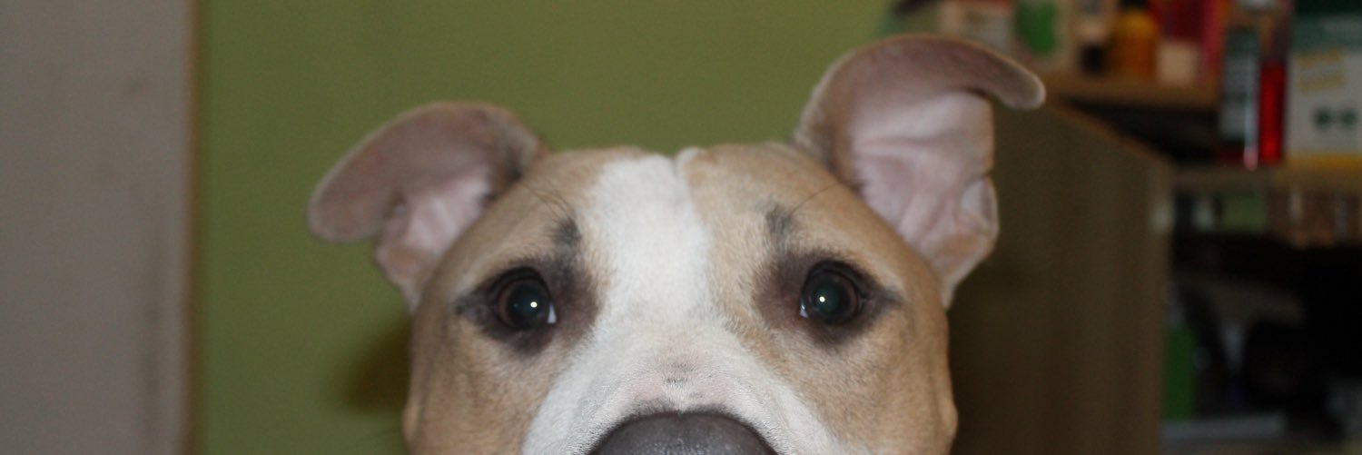 AxelQSZ's profile banner image