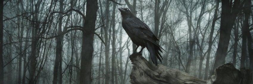 MedicMom77's profile banner image