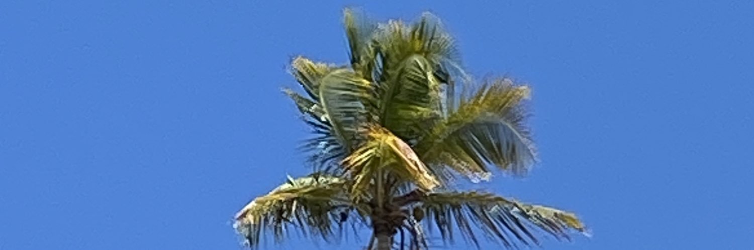 tornadoatc's profile banner image