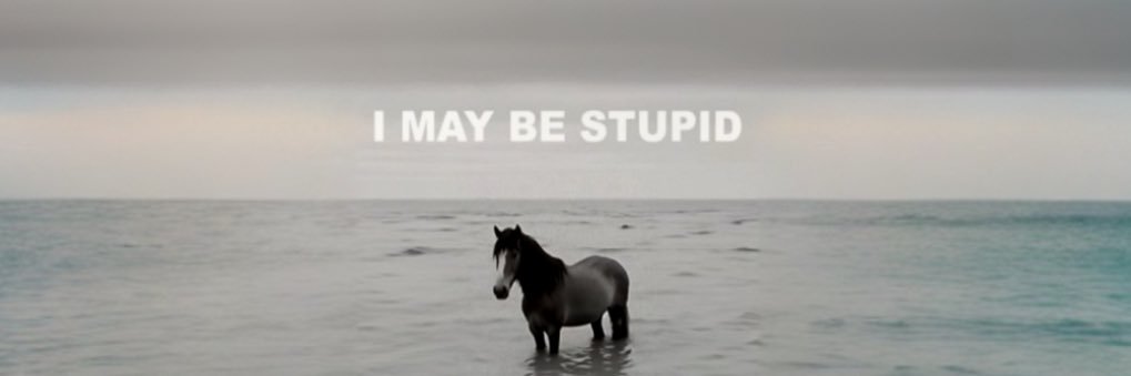 TaylorNovak23's profile banner image