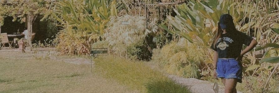 sieycheyy's profile banner image