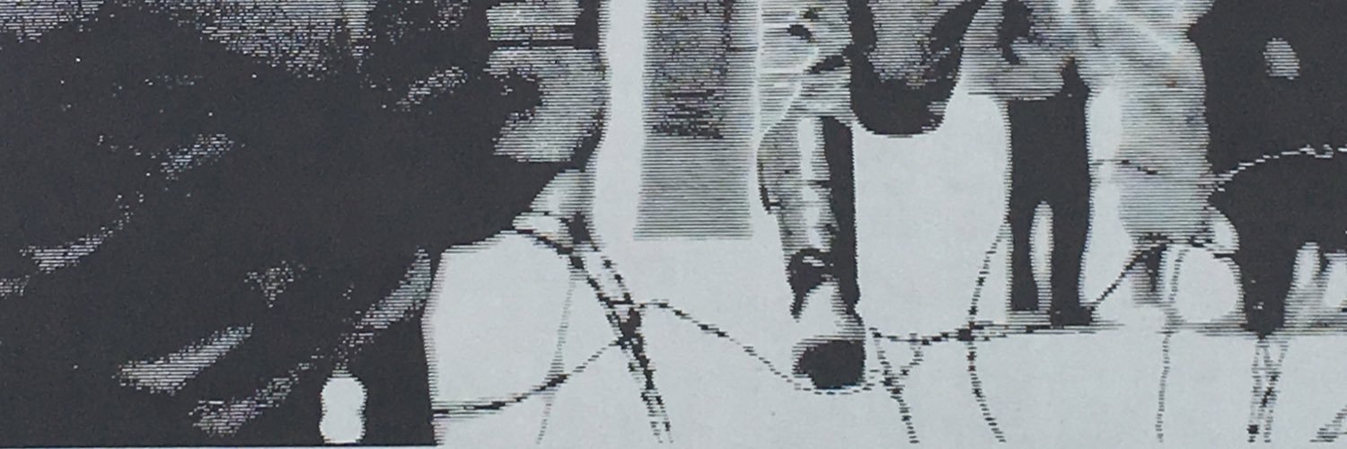 Boixo11's profile banner image