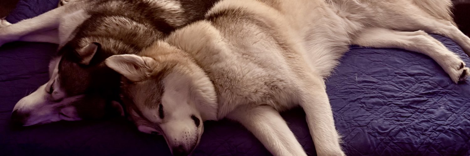 squarymary's profile banner image