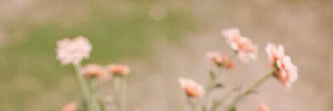 randahali's profile banner image