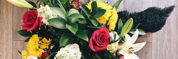 porterpark Profile Banner