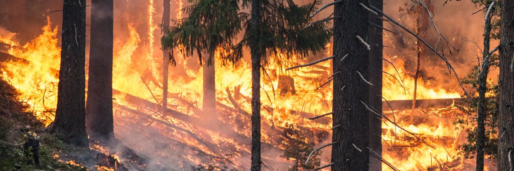 ODF Southwest banner