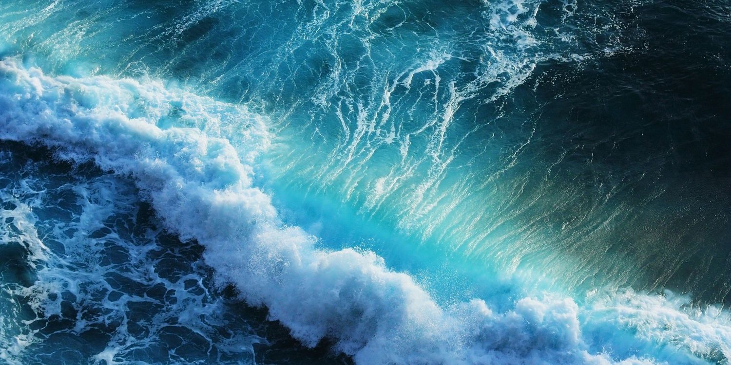 DelfinaMQ's profile banner image