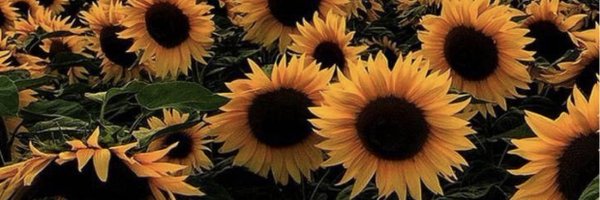 lindsayvx3 Profile Banner