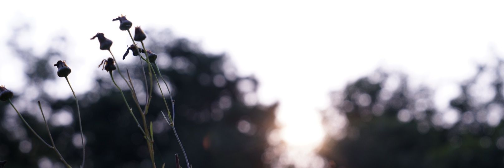ctpt9r's profile banner image
