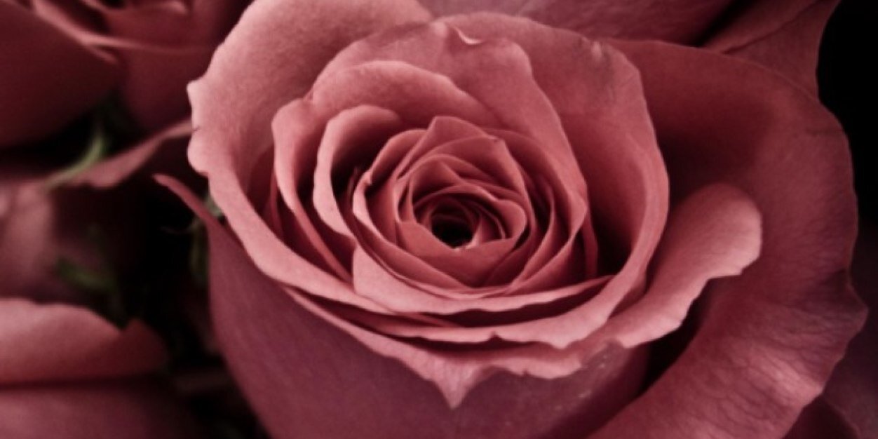 نادر بن عبدالعزيز banner