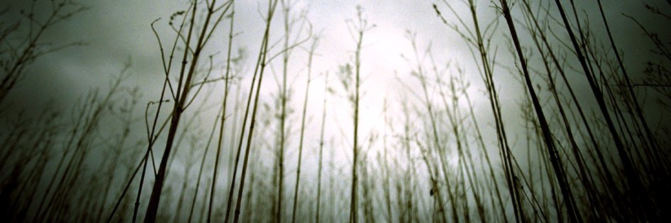 Diego Ramírez banner