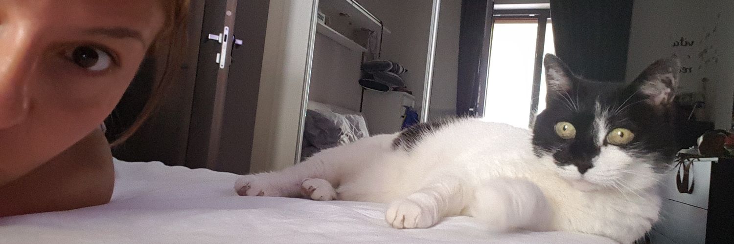 Alyaraa's profile banner image