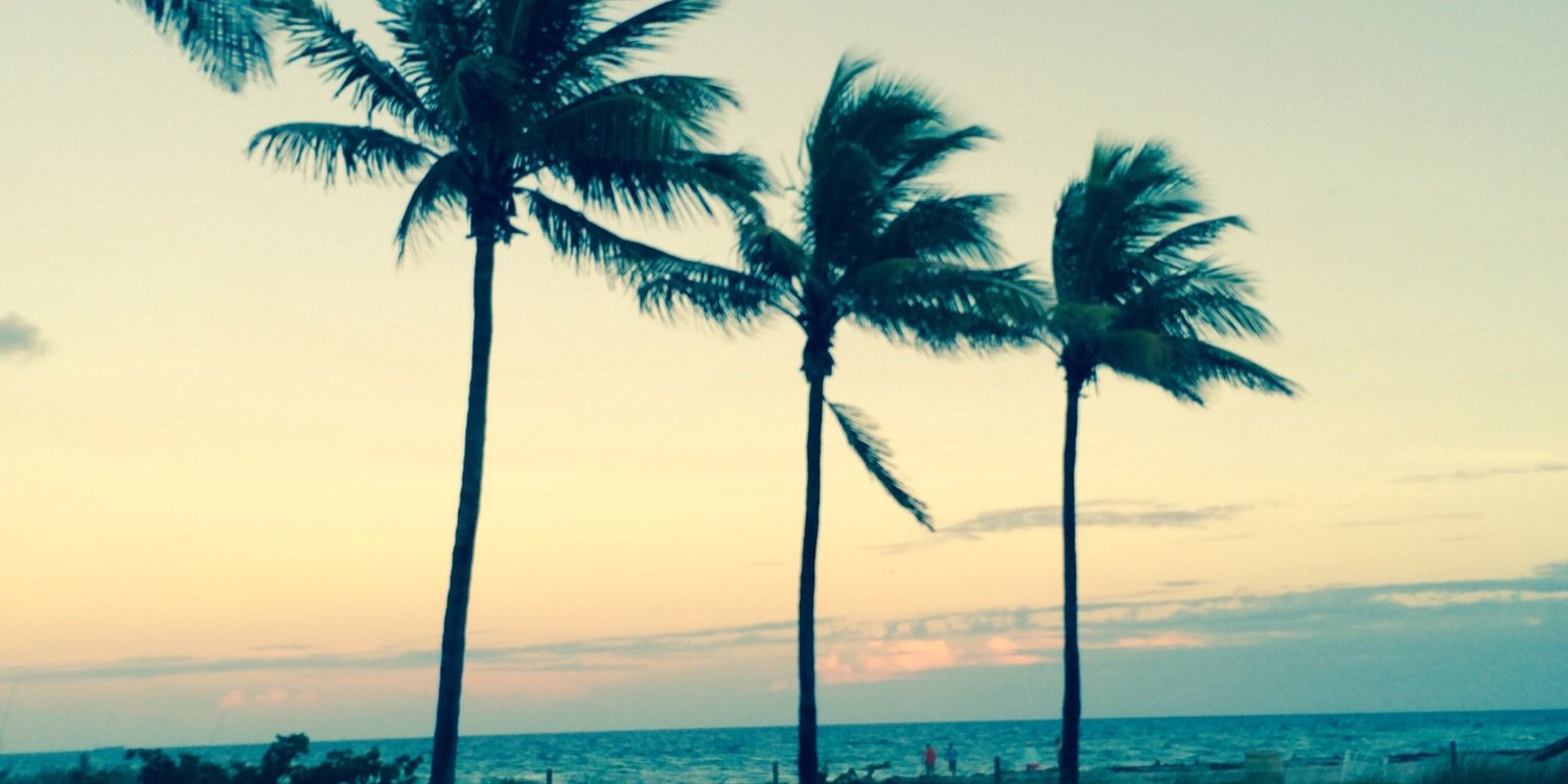 JohnnySanders_'s profile banner image