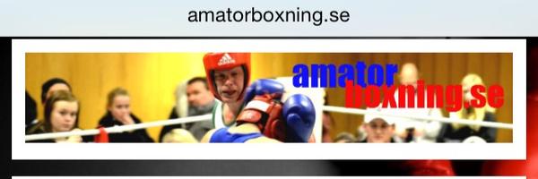 amatorboxning Profile Banner