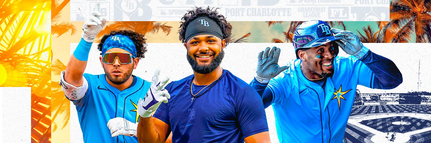 Tampa Bay Rays banner