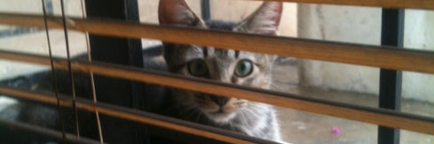 Arrius_JC's profile banner image