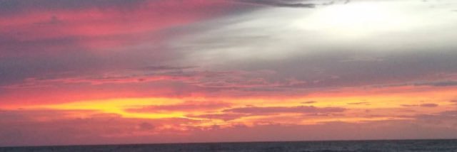 elton3145's profile banner image