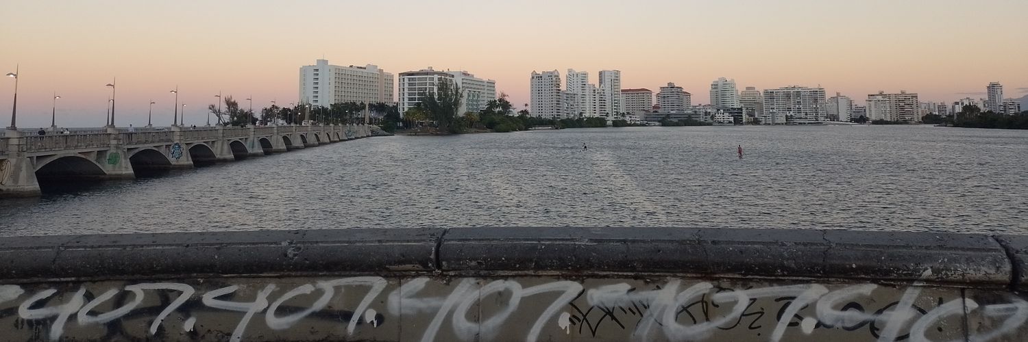 MAFELARROTTA's profile banner image