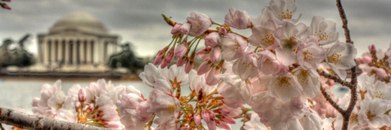 CraigDylanWyatt's profile banner image