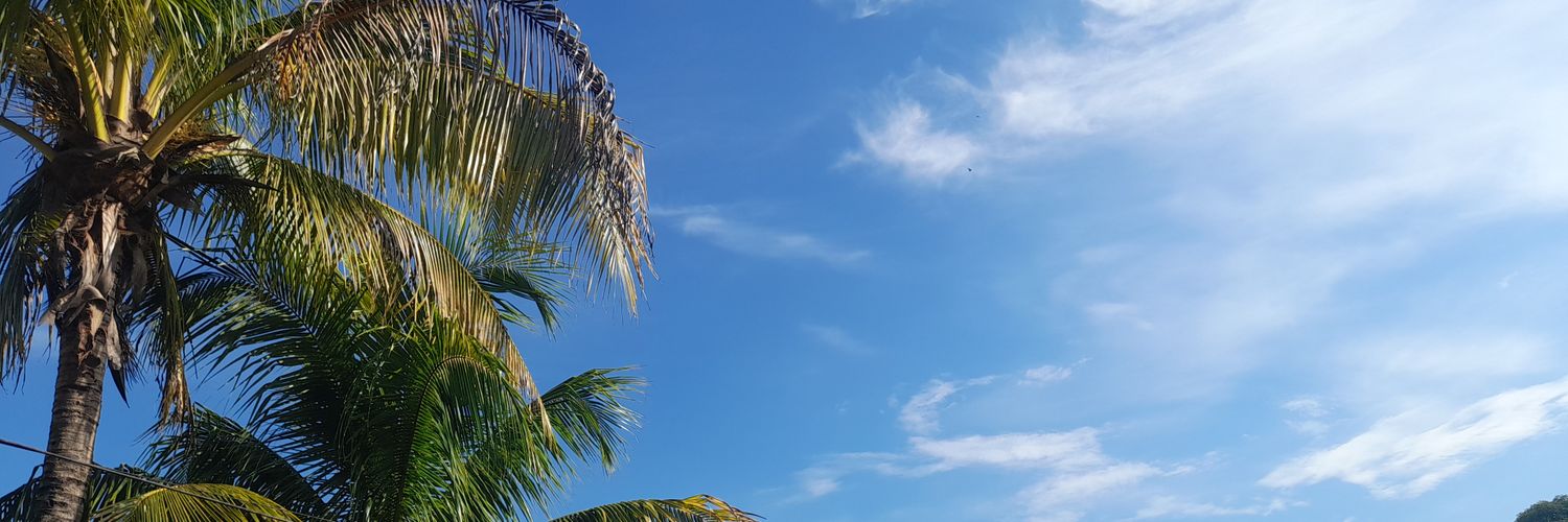 FENIXCRISTAL's profile banner image