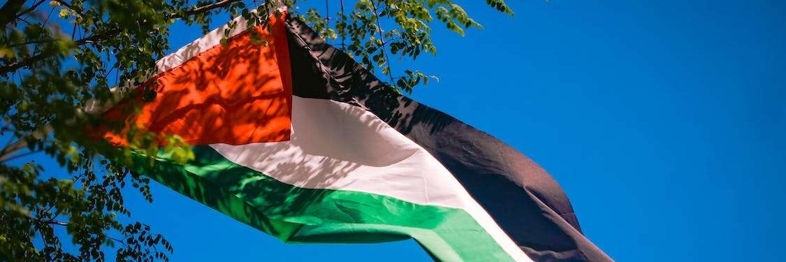 🍉 👑 Queen Jane banner