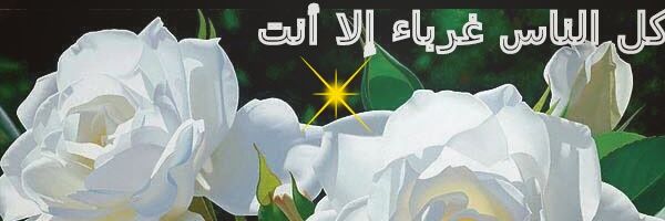 SimonaBee2015zz's profile banner image