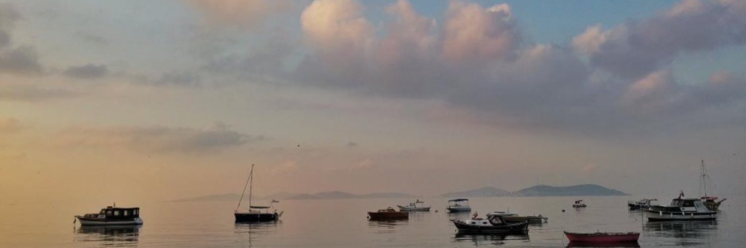 seymasea's profile banner image