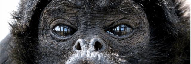 semberton91's profile banner image