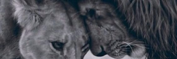Colleen banner