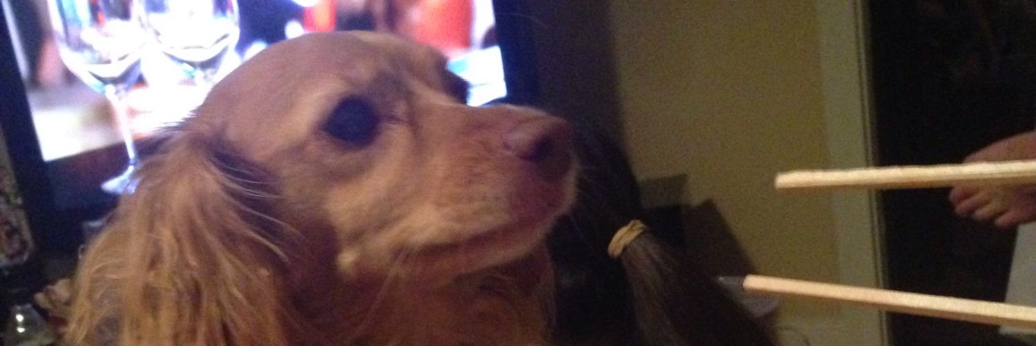 thedooof's profile banner image