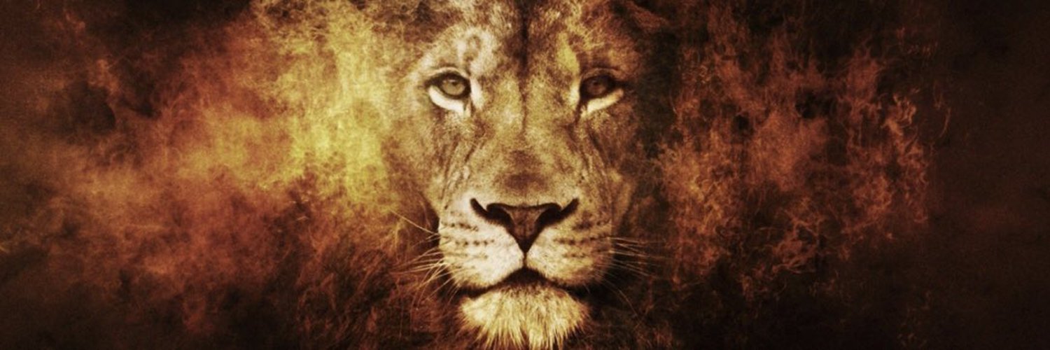 semeilo's profile banner image