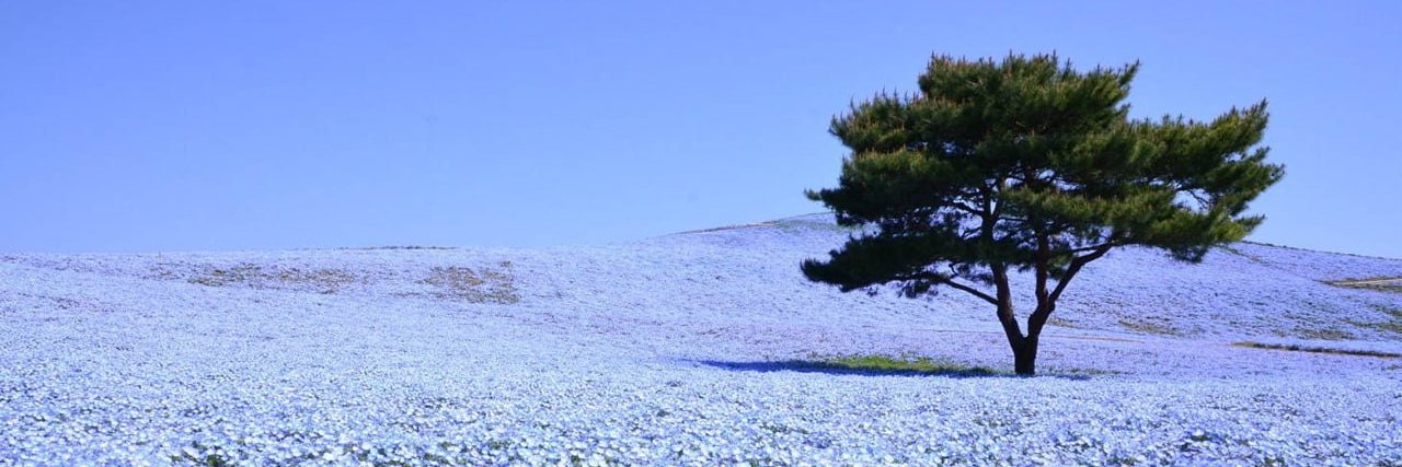 LUT ✏️🎨🖌️ banner