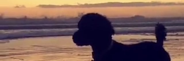 Lil_NHart's profile banner image