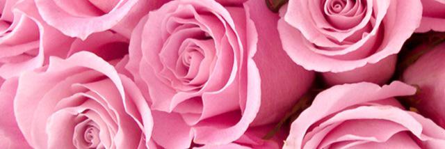 liannecmaxwell's profile banner image
