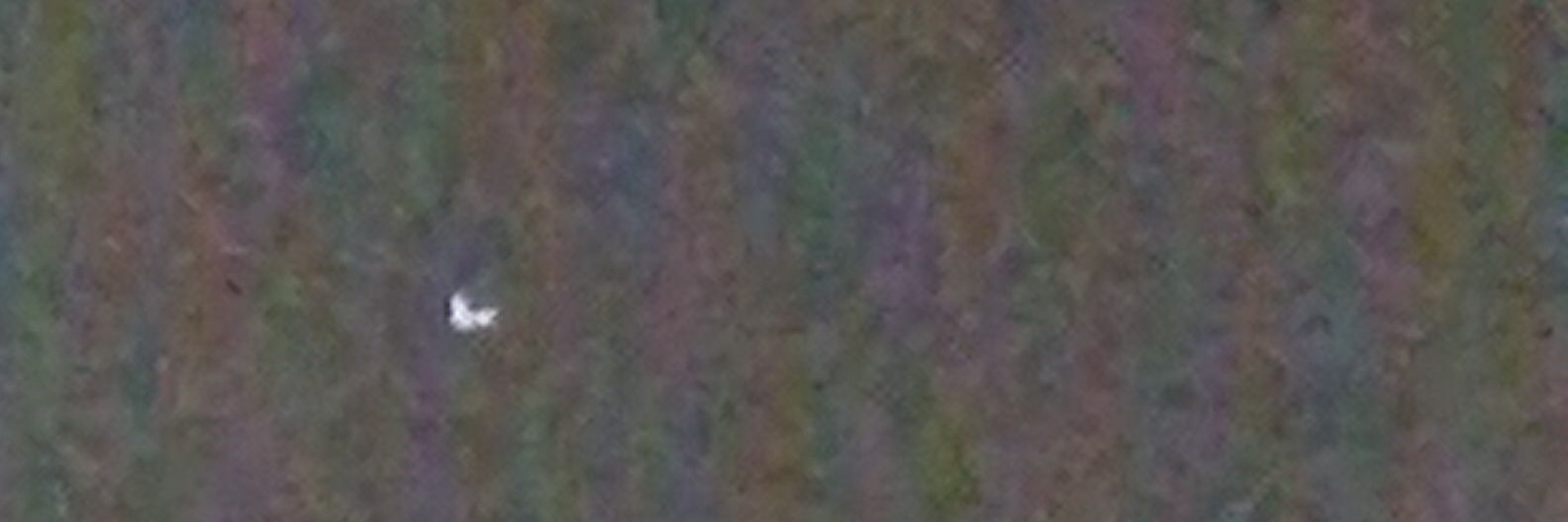 omarazizk's profile banner image