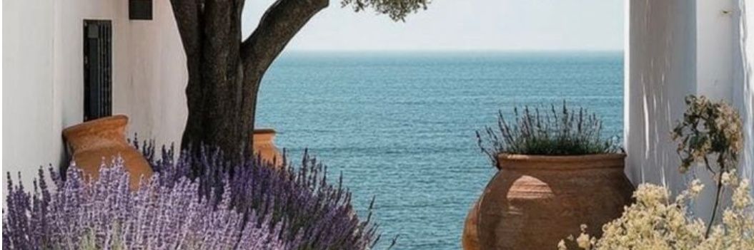PinJavier's profile banner image