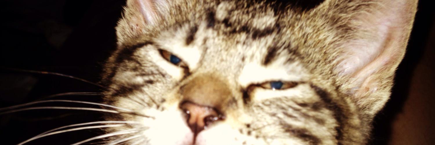 Delacroy507's profile banner image